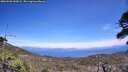 ./images/calvert/fitz-hugh-hecate/20260520/fitz-hugh-hecate20260520_143001M.jpg