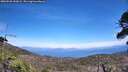 ./images/calvert/fitz-hugh-hecate/20260520/fitz-hugh-hecate20260520_144502M.jpg