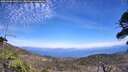 ./images/calvert/fitz-hugh-hecate/20260520/fitz-hugh-hecate20260520_145501M.jpg