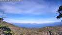 ./images/calvert/fitz-hugh-hecate/20260520/fitz-hugh-hecate20260520_154501M.jpg
