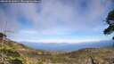 ./images/calvert/fitz-hugh-hecate/20260520/fitz-hugh-hecate20260520_161001M.jpg