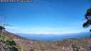 ./images/calvert/fitz-hugh-hecate/20260520/fitz-hugh-hecate20260520_163001M.jpg