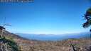 ./images/calvert/fitz-hugh-hecate/20260520/fitz-hugh-hecate20260520_175502M.jpg