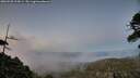 ./images/calvert/fitz-hugh-hecate/20260520/fitz-hugh-hecate20260520_214501M.jpg