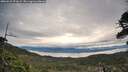 ./images/calvert/fitz-hugh-hecate/20260521/fitz-hugh-hecate20260521_071001M.jpg