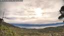 ./images/calvert/fitz-hugh-hecate/20260521/fitz-hugh-hecate20260521_075501M.jpg