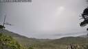 ./images/calvert/fitz-hugh-hecate/20260521/fitz-hugh-hecate20260521_090001M.jpg