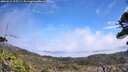 ./images/calvert/fitz-hugh-hecate/20260521/fitz-hugh-hecate20260521_125501M.jpg