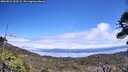 ./images/calvert/fitz-hugh-hecate/20260521/fitz-hugh-hecate20260521_133502M.jpg
