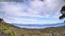./images/calvert/fitz-hugh-hecate/20260521/fitz-hugh-hecate20260521_143501M.jpg