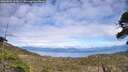 ./images/calvert/fitz-hugh-hecate/20260521/fitz-hugh-hecate20260521_162001M.jpg
