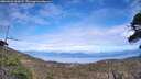 ./images/calvert/fitz-hugh-hecate/20260521/fitz-hugh-hecate20260521_163001M.jpg