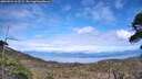 ./images/calvert/fitz-hugh-hecate/20260521/fitz-hugh-hecate20260521_163501M.jpg
