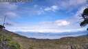 ./images/calvert/fitz-hugh-hecate/20260521/fitz-hugh-hecate20260521_165501M.jpg