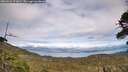 ./images/calvert/fitz-hugh-hecate/20260521/fitz-hugh-hecate20260521_171001M.jpg
