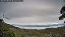 ./images/calvert/fitz-hugh-hecate/20260521/fitz-hugh-hecate20260521_184002M.jpg
