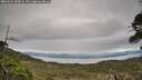./images/calvert/fitz-hugh-hecate/20260521/fitz-hugh-hecate20260521_185002M.jpg