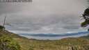 ./images/calvert/fitz-hugh-hecate/20260521/fitz-hugh-hecate20260521_193501M.jpg