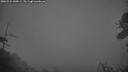 ./images/calvert/fitz-hugh-hecate/20260522/fitz-hugh-hecate20260522_045001M.jpg
