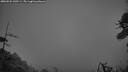 ./images/calvert/fitz-hugh-hecate/20260522/fitz-hugh-hecate20260522_045501M.jpg