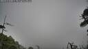 ./images/calvert/fitz-hugh-hecate/20260522/fitz-hugh-hecate20260522_060001M.jpg