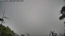 ./images/calvert/fitz-hugh-hecate/20260522/fitz-hugh-hecate20260522_064002M.jpg