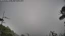 ./images/calvert/fitz-hugh-hecate/20260522/fitz-hugh-hecate20260522_070001M.jpg