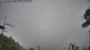 ./images/calvert/fitz-hugh-hecate/20260522/fitz-hugh-hecate20260522_071001M.jpg