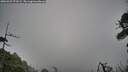./images/calvert/fitz-hugh-hecate/20260522/fitz-hugh-hecate20260522_072002M.jpg