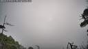 ./images/calvert/fitz-hugh-hecate/20260522/fitz-hugh-hecate20260522_073501M.jpg