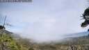 ./images/calvert/fitz-hugh-hecate/20260522/fitz-hugh-hecate20260522_133001M.jpg