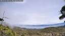 ./images/calvert/fitz-hugh-hecate/20260522/fitz-hugh-hecate20260522_133501M.jpg