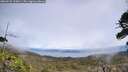 ./images/calvert/fitz-hugh-hecate/20260522/fitz-hugh-hecate20260522_135001M.jpg