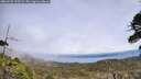 ./images/calvert/fitz-hugh-hecate/20260522/fitz-hugh-hecate20260522_135501M.jpg