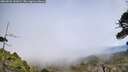 ./images/calvert/fitz-hugh-hecate/20260522/fitz-hugh-hecate20260522_141001M.jpg