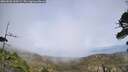 ./images/calvert/fitz-hugh-hecate/20260522/fitz-hugh-hecate20260522_160501M.jpg