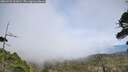./images/calvert/fitz-hugh-hecate/20260522/fitz-hugh-hecate20260522_161002M.jpg