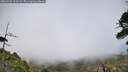 ./images/calvert/fitz-hugh-hecate/20260522/fitz-hugh-hecate20260522_163502M.jpg