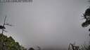 ./images/calvert/fitz-hugh-hecate/20260522/fitz-hugh-hecate20260522_183501M.jpg