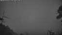 ./images/calvert/fitz-hugh-hecate/20260522/fitz-hugh-hecate20260522_221501M.jpg