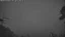 ./images/calvert/fitz-hugh-hecate/20260523/fitz-hugh-hecate20260523_045001M.jpg