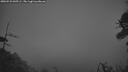 ./images/calvert/fitz-hugh-hecate/20260523/fitz-hugh-hecate20260523_045502M.jpg