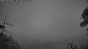 ./images/calvert/fitz-hugh-hecate/20260523/fitz-hugh-hecate20260523_050001M.jpg