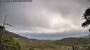 ./images/calvert/fitz-hugh-hecate/20260523/fitz-hugh-hecate20260523_062502M.jpg