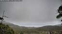 ./images/calvert/fitz-hugh-hecate/20260523/fitz-hugh-hecate20260523_070001M.jpg