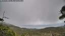 ./images/calvert/fitz-hugh-hecate/20260523/fitz-hugh-hecate20260523_080001M.jpg
