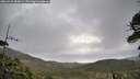 ./images/calvert/fitz-hugh-hecate/20260523/fitz-hugh-hecate20260523_083001M.jpg