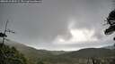 ./images/calvert/fitz-hugh-hecate/20260523/fitz-hugh-hecate20260523_083501M.jpg