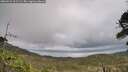 ./images/calvert/fitz-hugh-hecate/20260523/fitz-hugh-hecate20260523_111501M.jpg