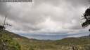 ./images/calvert/fitz-hugh-hecate/20260523/fitz-hugh-hecate20260523_113002M.jpg